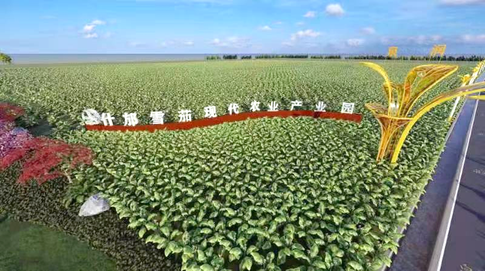 什邡市优质雪茄烟叶种植基地一期建设