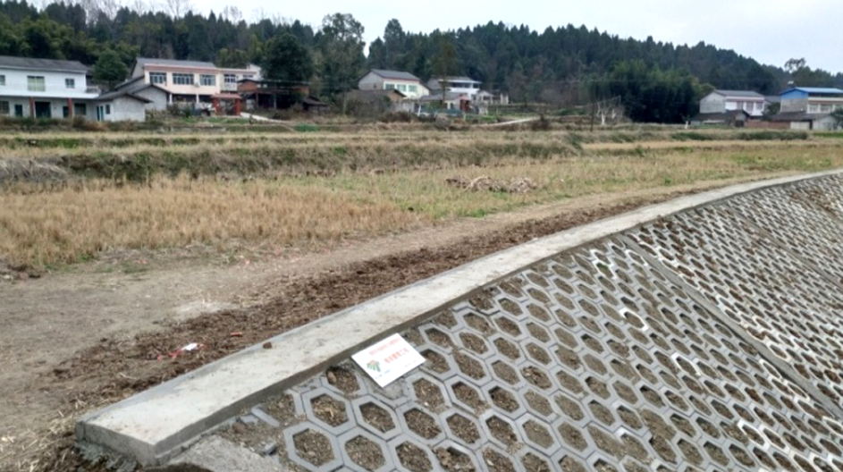 游仙区太平镇福林村、芦桥村、南山村土地整理